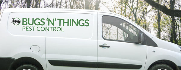 bugs n things pest control bedfordshire