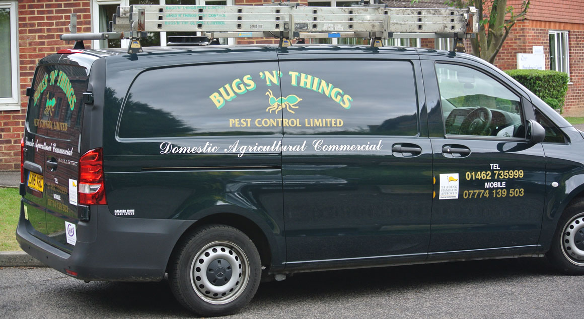 Bugs n Things pest control bedfordshire